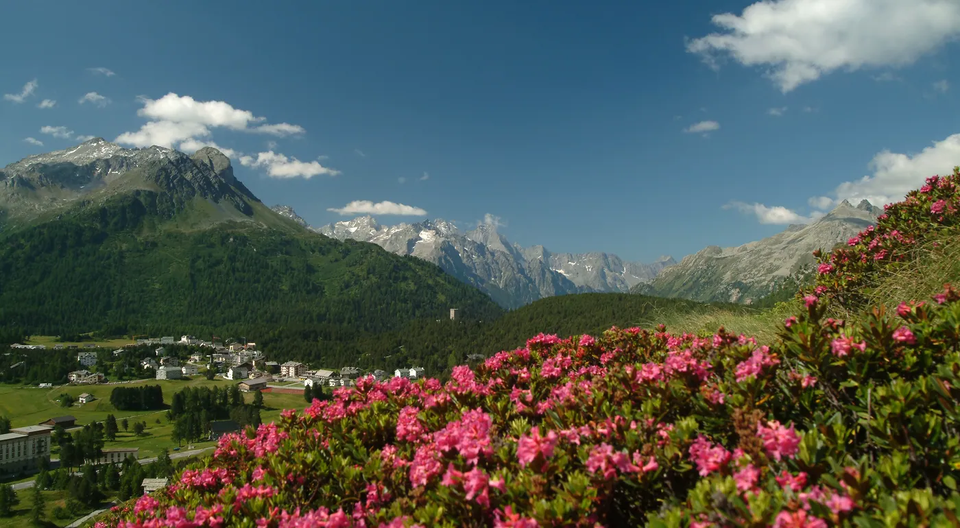 Bergell / Bregaglia