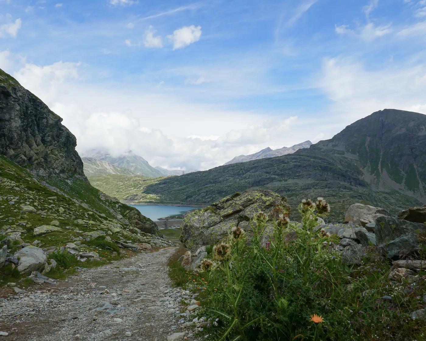 Via Albula/Bernina (Alp Grüm)
