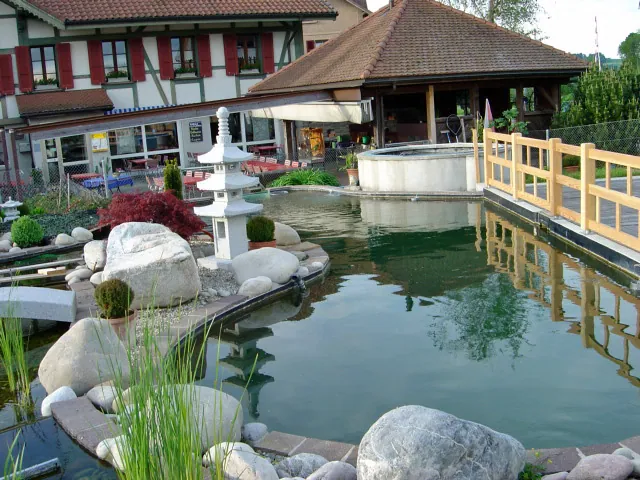KOI Gartenteich (karmienie karpi)