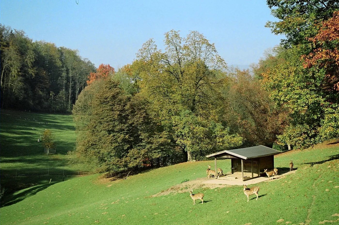 Park zwierząt Roggenhausen