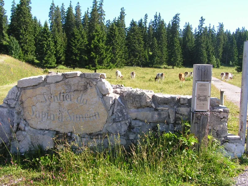 Ścieżka Sapin à Siméon