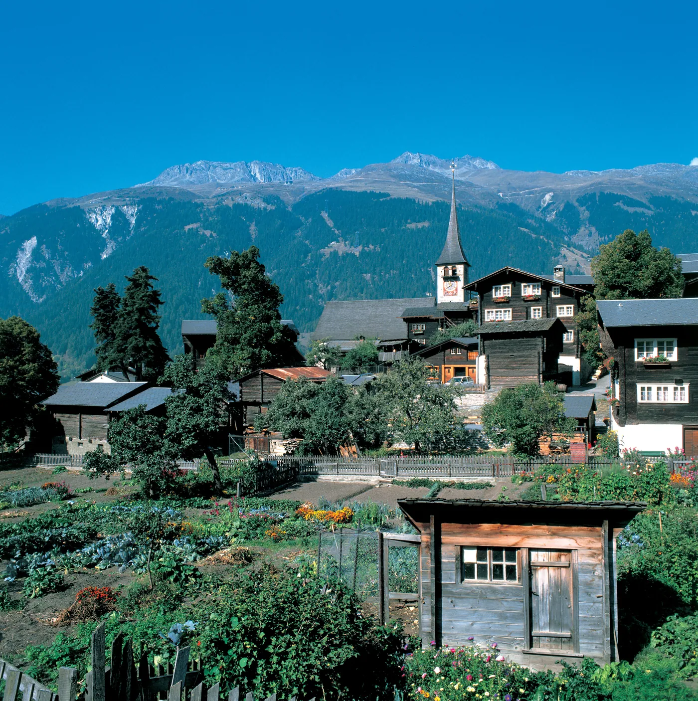 Rhône trail (Obergoms)