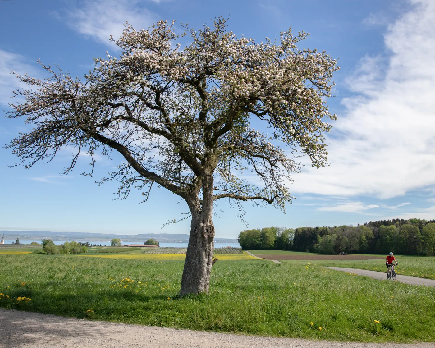 Seerücken-Route, etap 2
