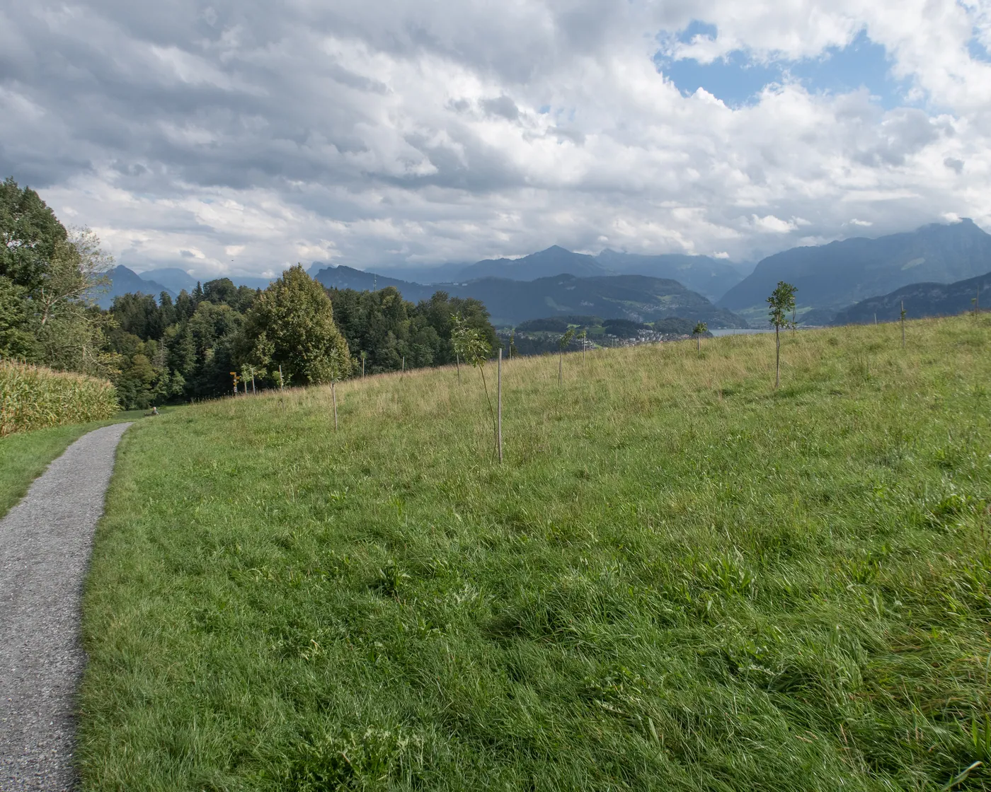 Alpine Panorama Trail (Zugersee)