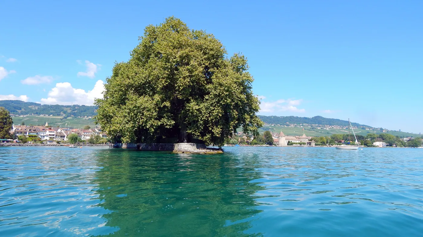 Île de la Harpe