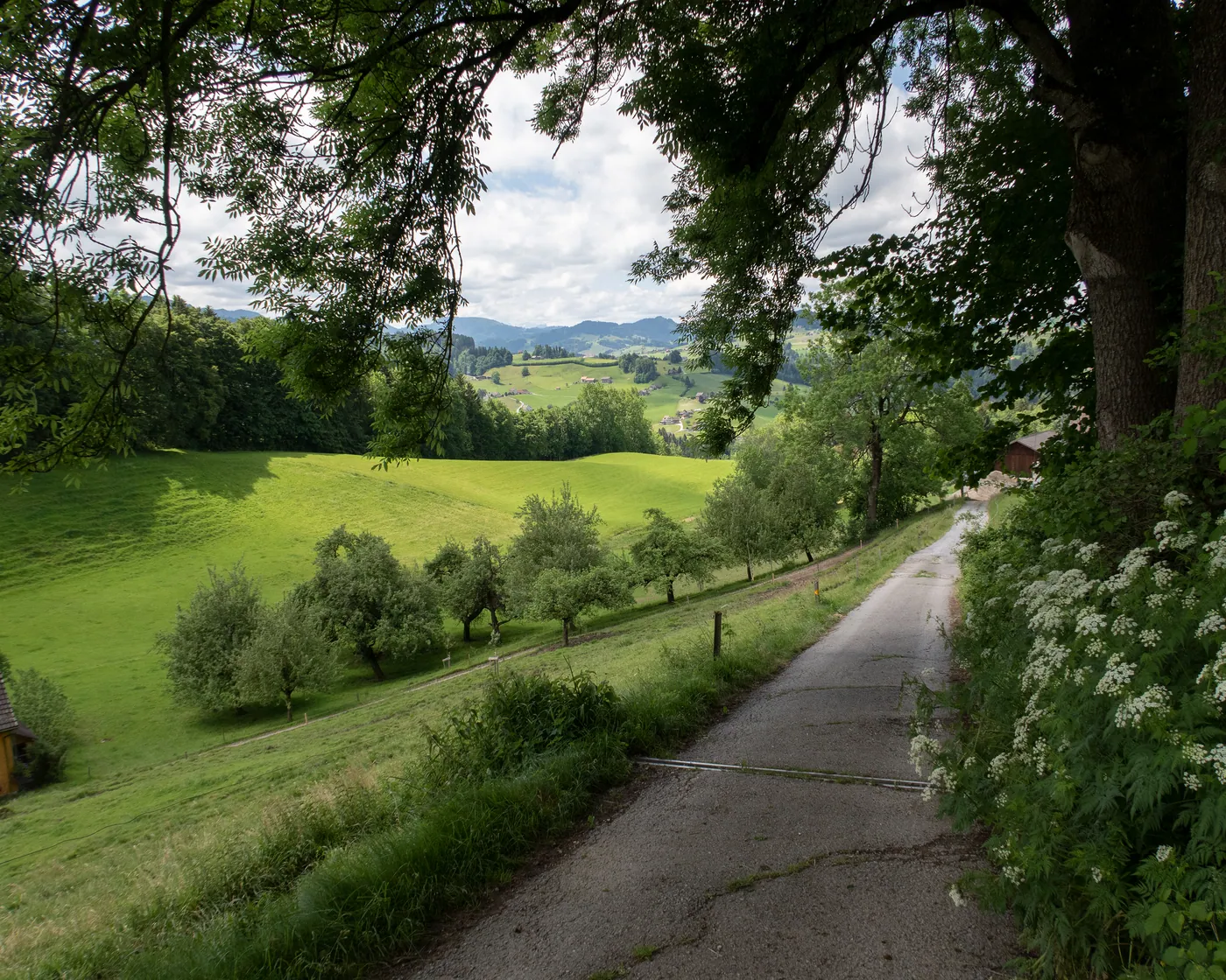 St. Galler Panoramaweg