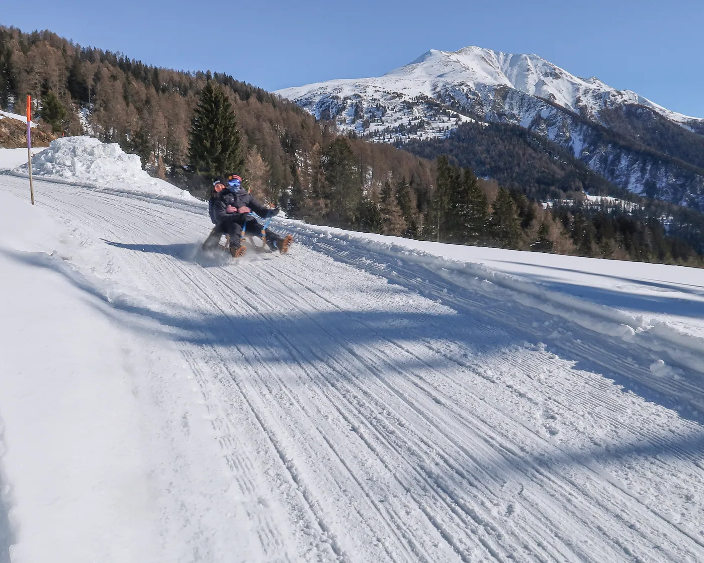 Schlittelweg Mutta (Feldis)