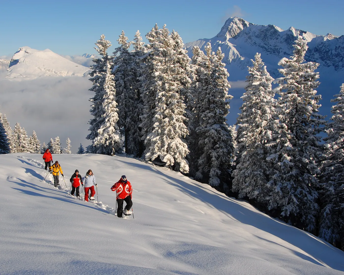 Brämegg Rundtrail