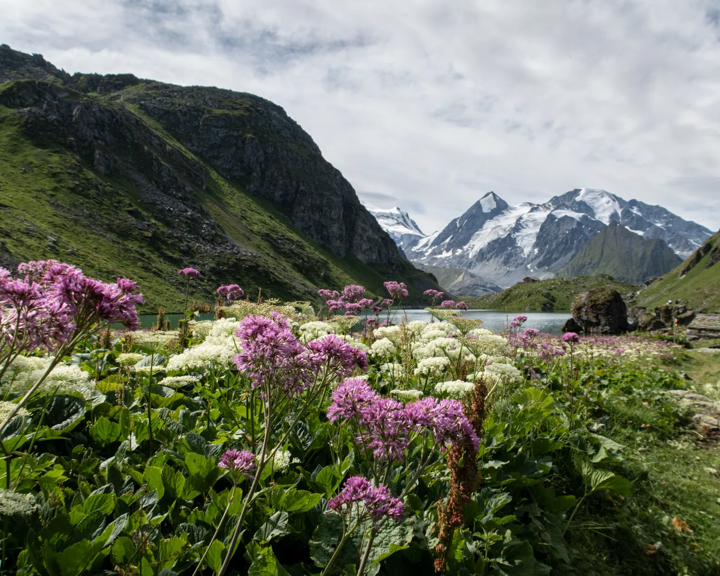 Alpine Passes Trail, etap 29
