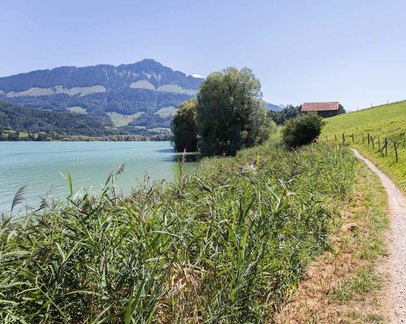 Sentier du Lac de la Gruyère