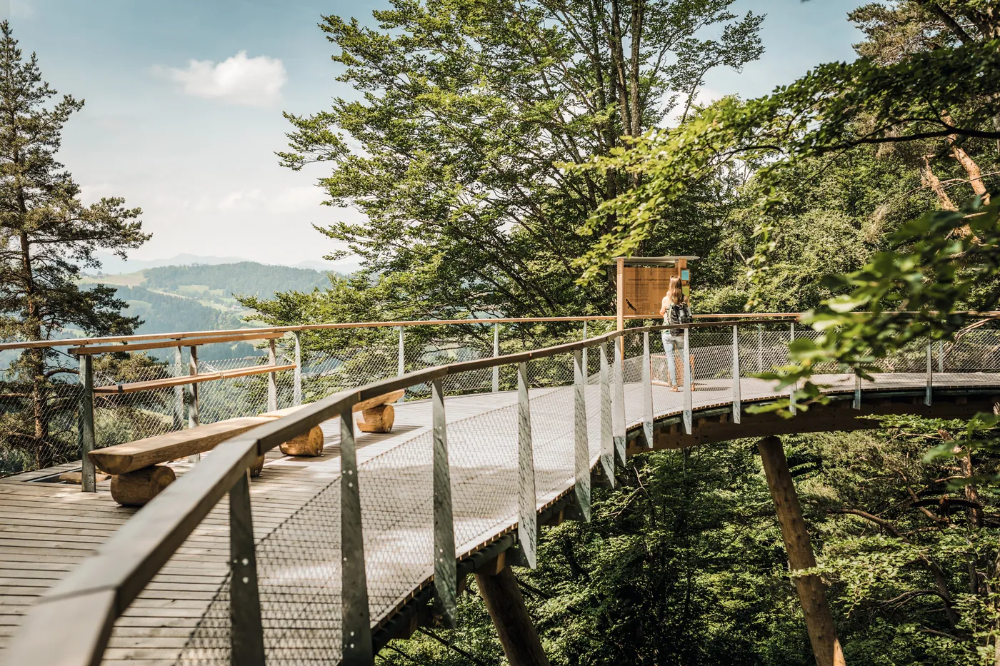 Ścieżka w koronach drzew Neckertal