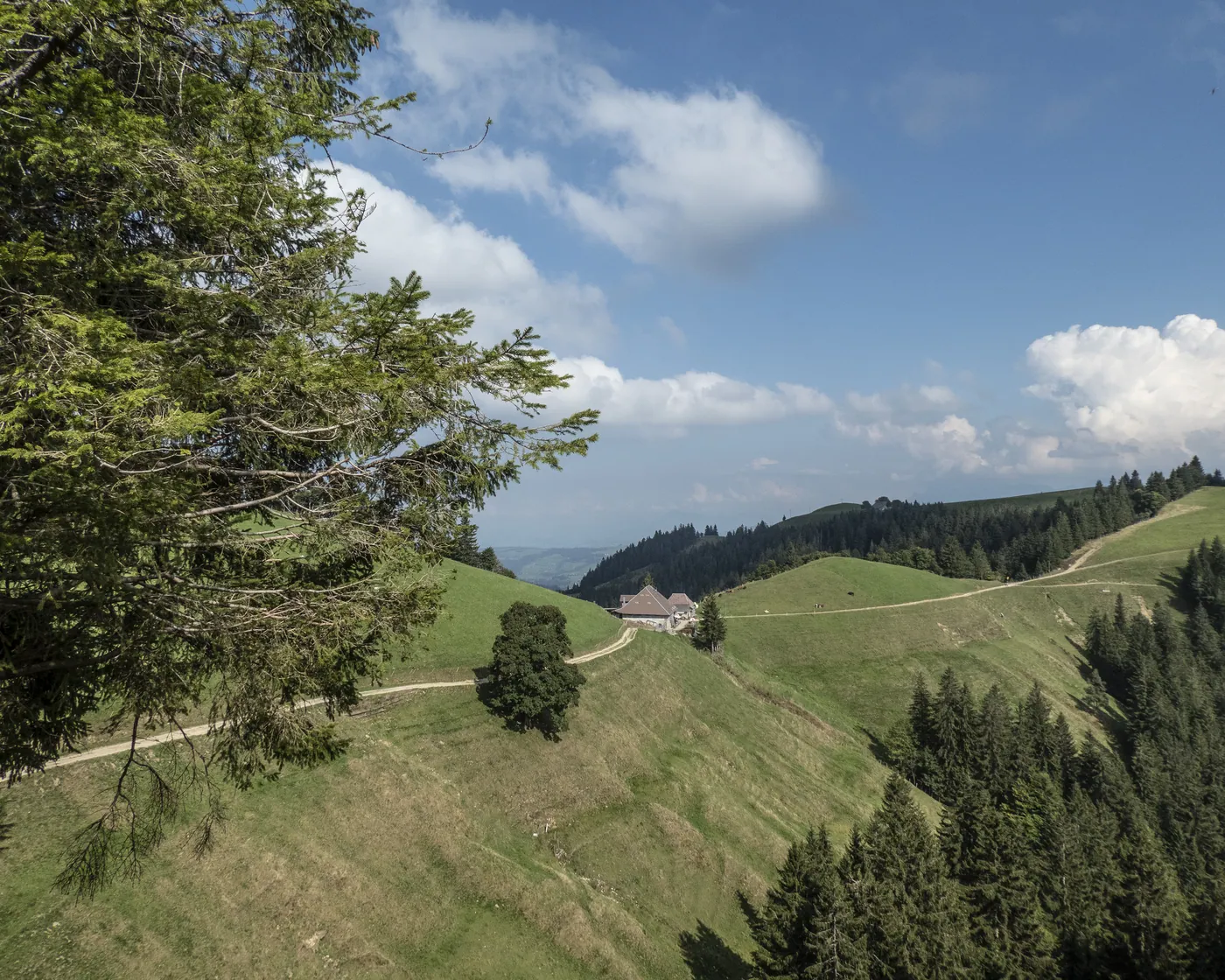 Alpine Panorama Trail, etap 13
