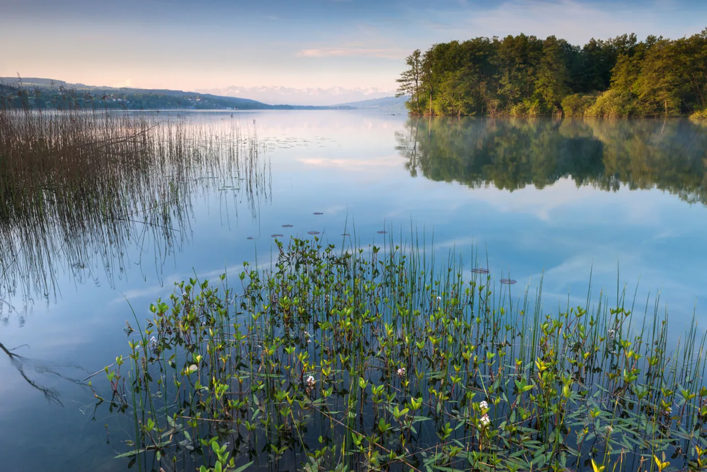 Jezioro Hallwil (Hallwilersee)