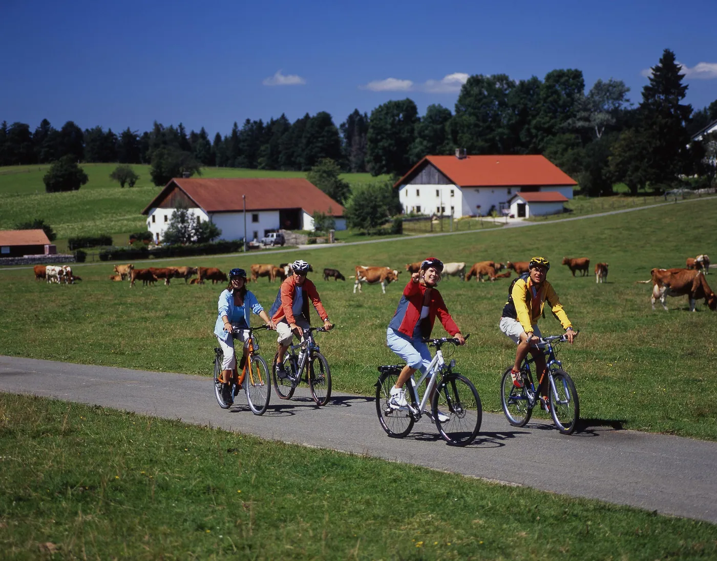 Jura Bike — etap 4