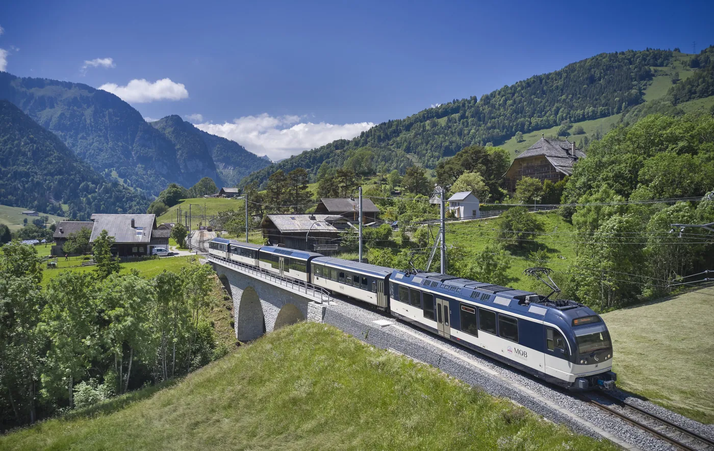 Pociąg Serowy (Cheese Train)