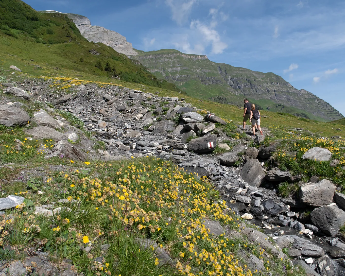 Mountain View Trail