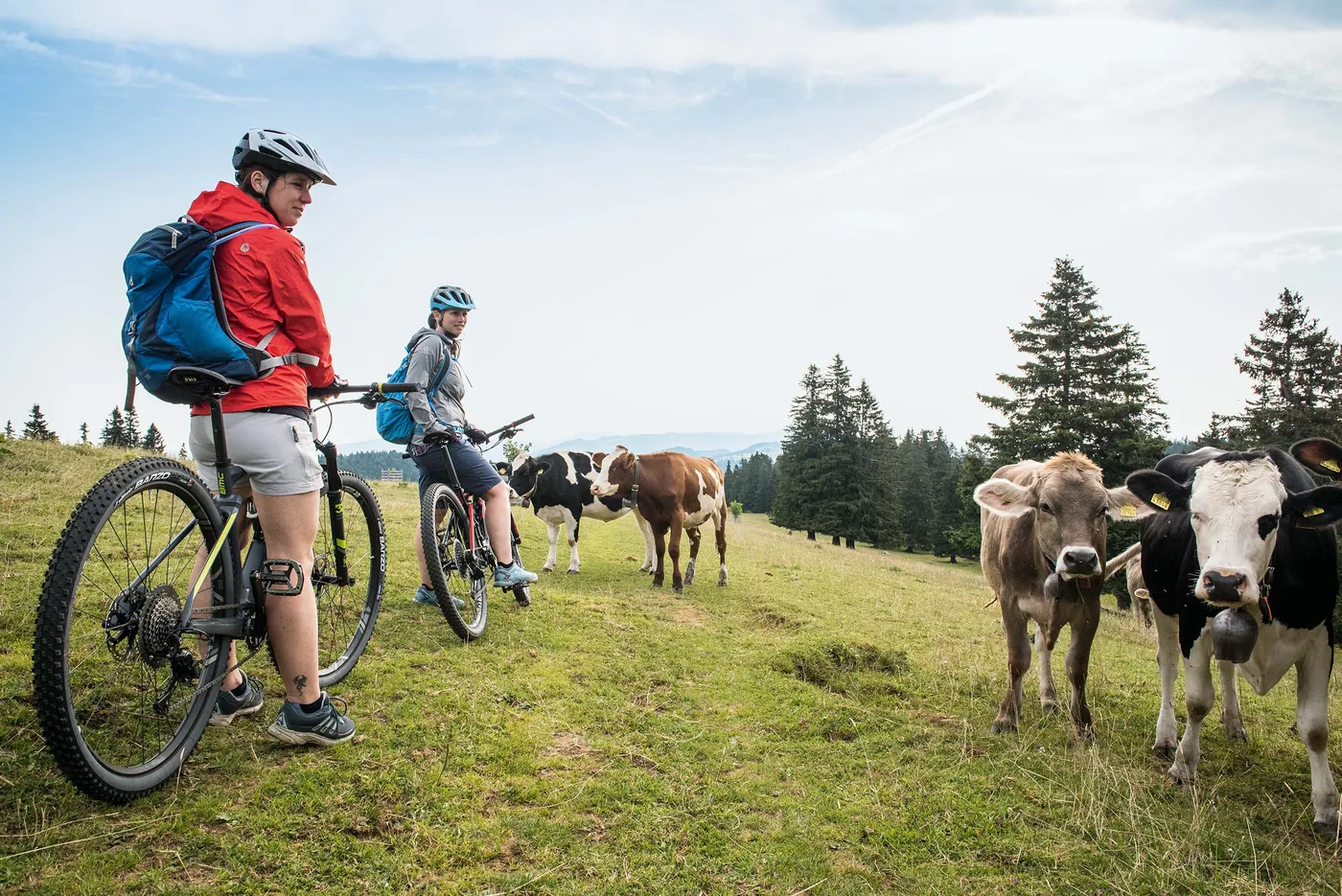Chasseral–Weissenstein Bike