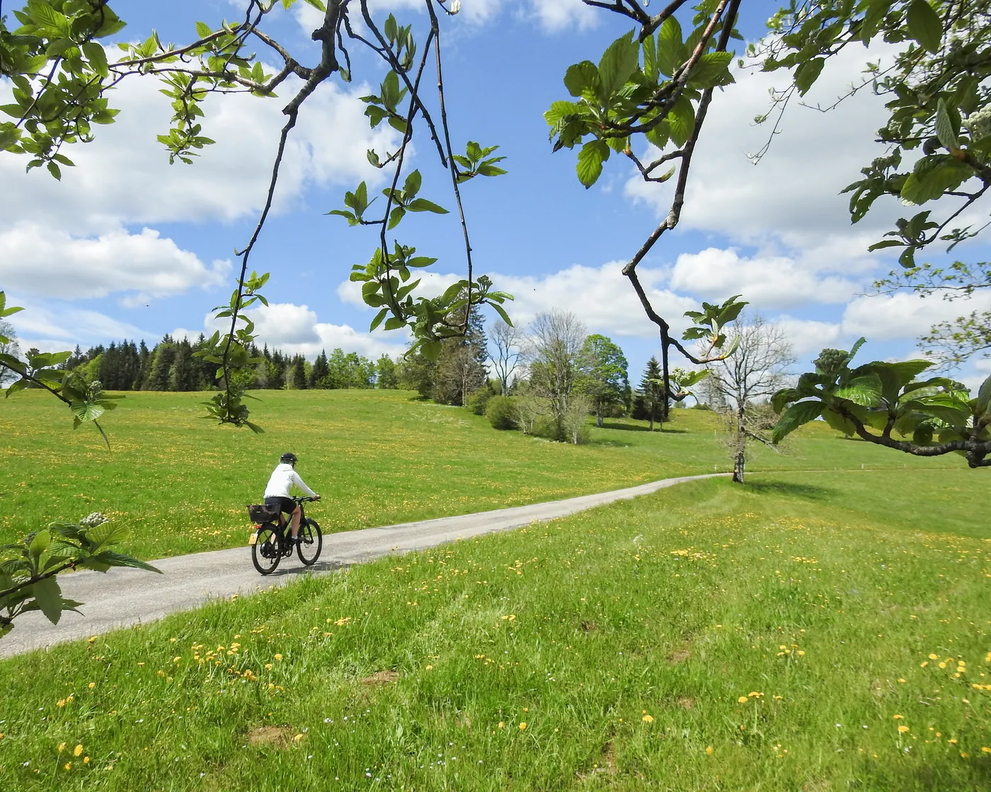 Jura Route (Mont Soleil)
