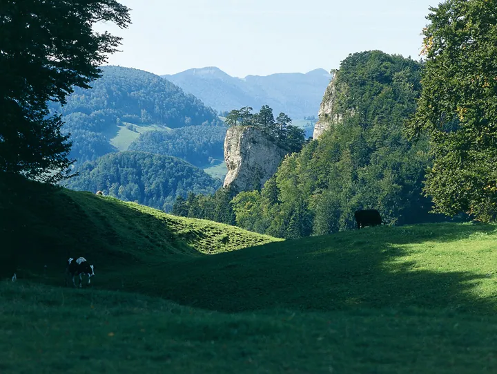 Baselland