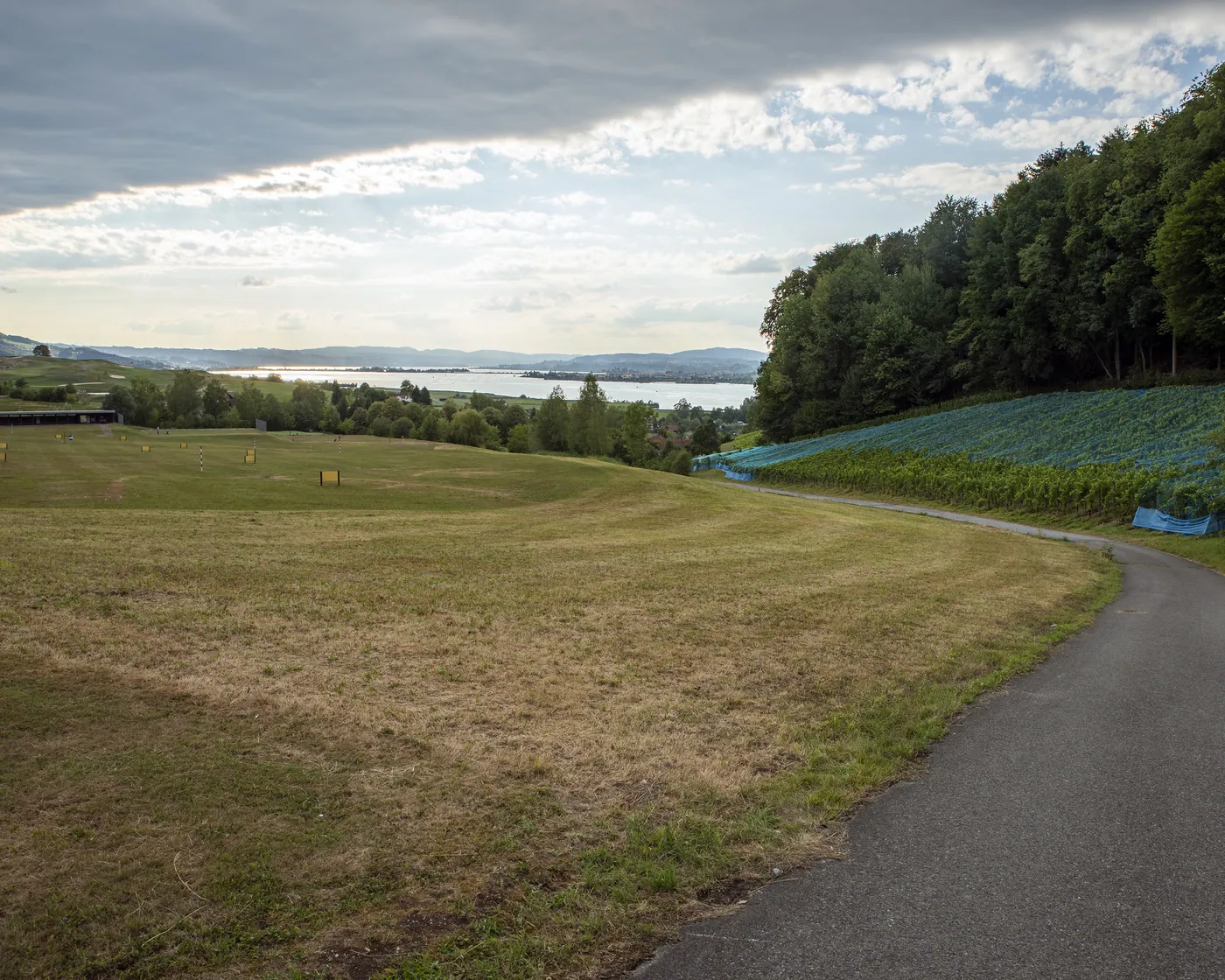 Zürichsee-Rundweg (Pfäffikon)