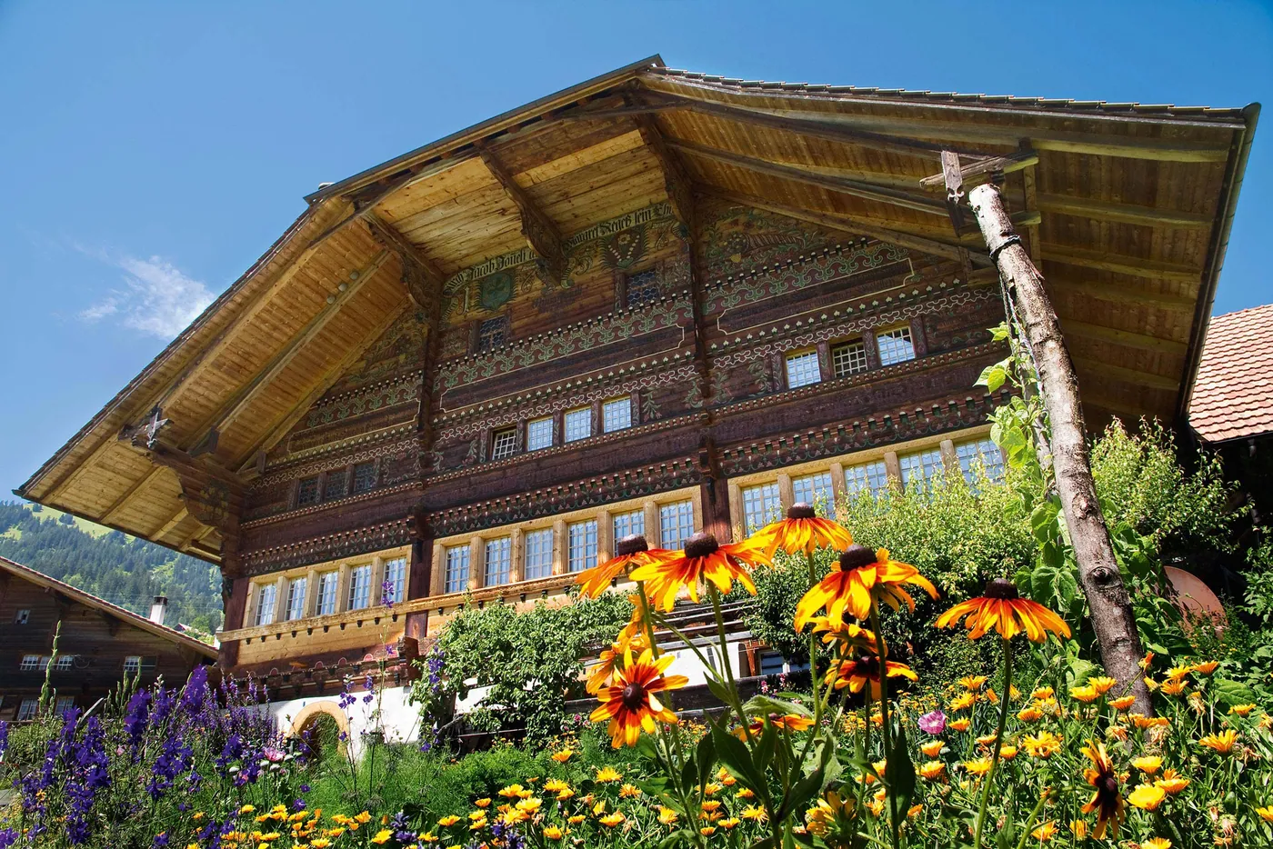 Szlak domów Simmental
