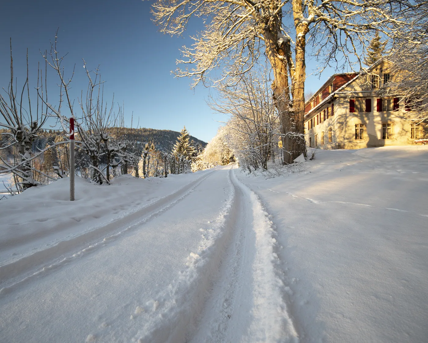 Chemin de Prés-d'Orvin