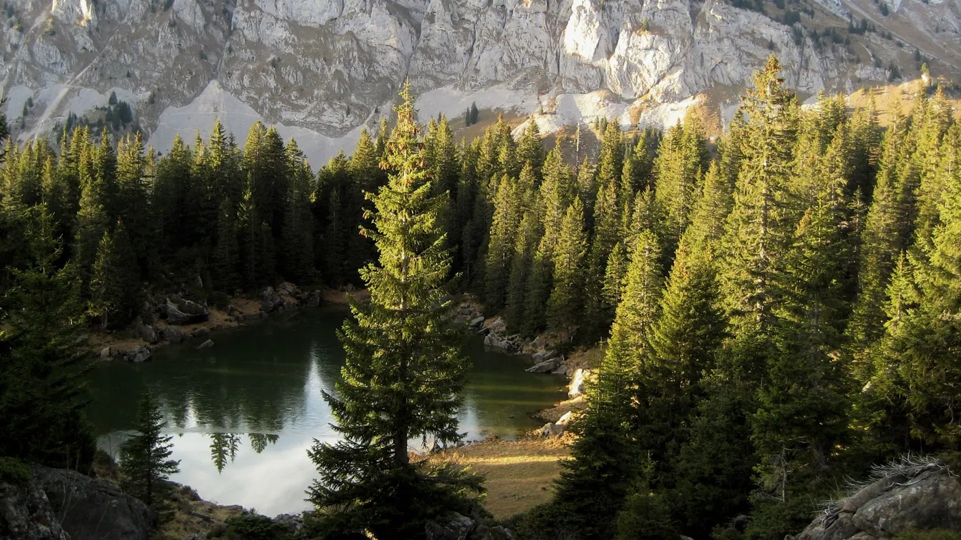 Szlak torfowiskowy (Moorlandschaftspfad)
