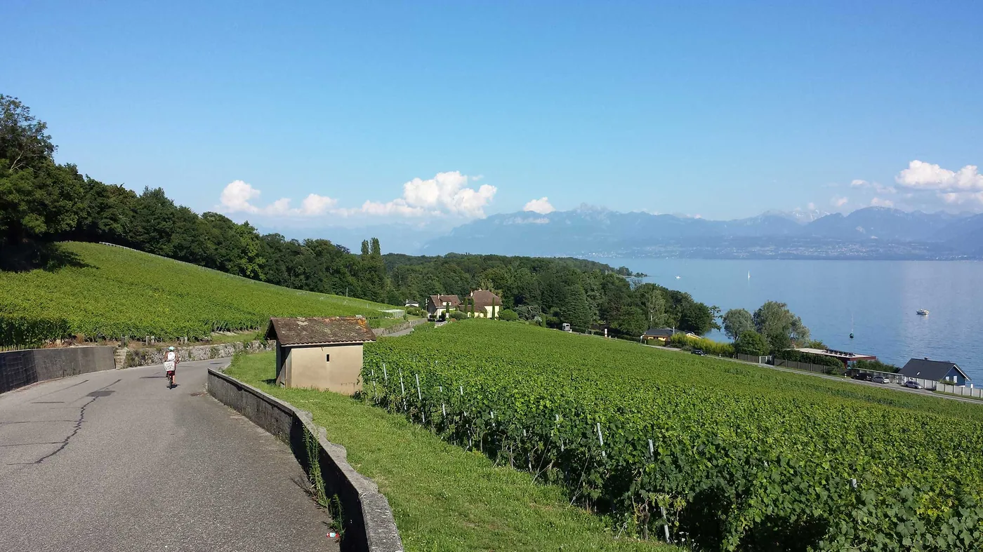 Tour du Léman (rower)