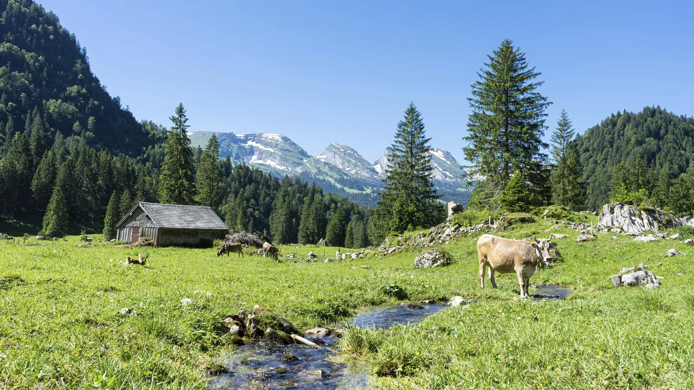 Wildhaus — rodzinne góry Toggenburga