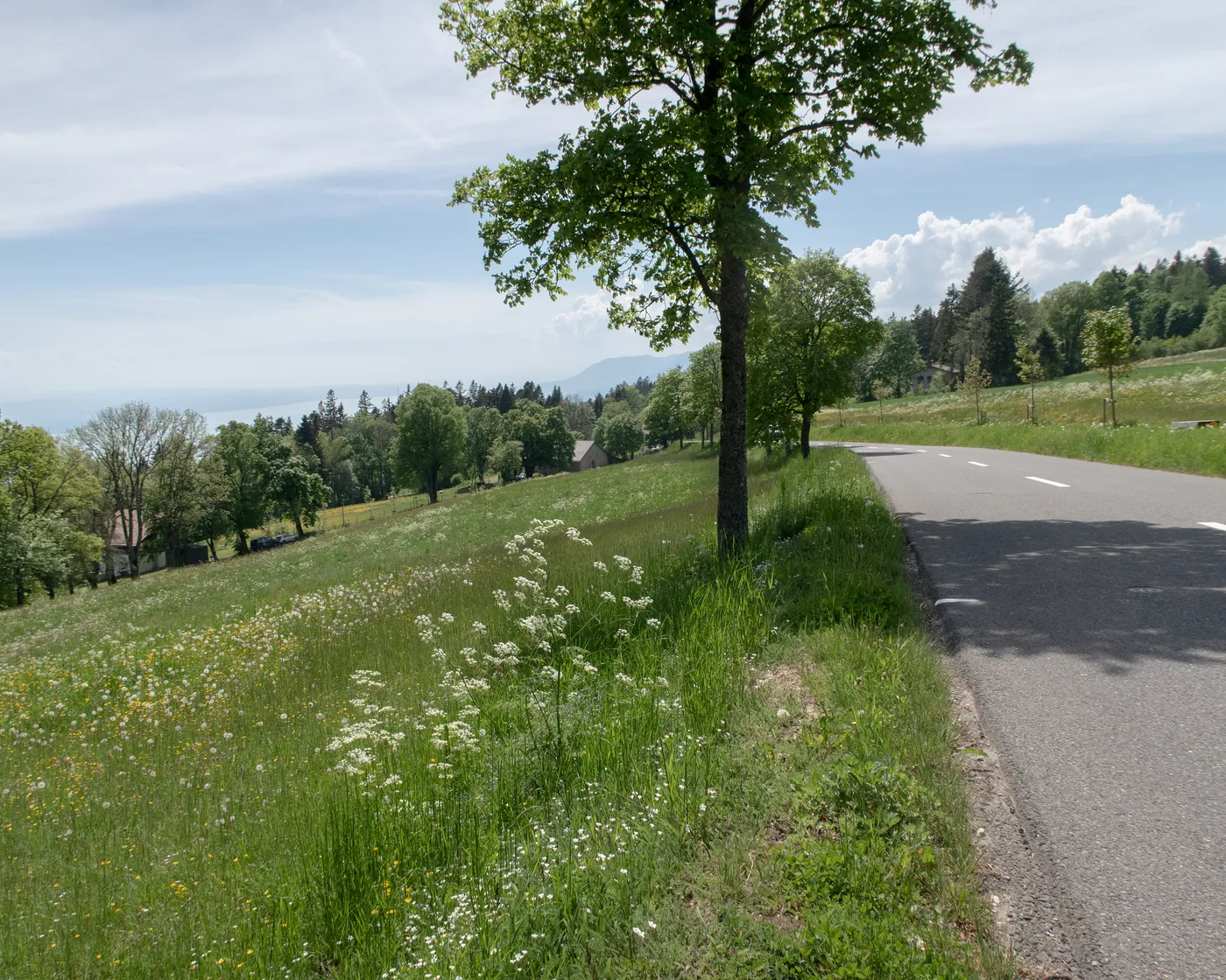 Chaumont Tour