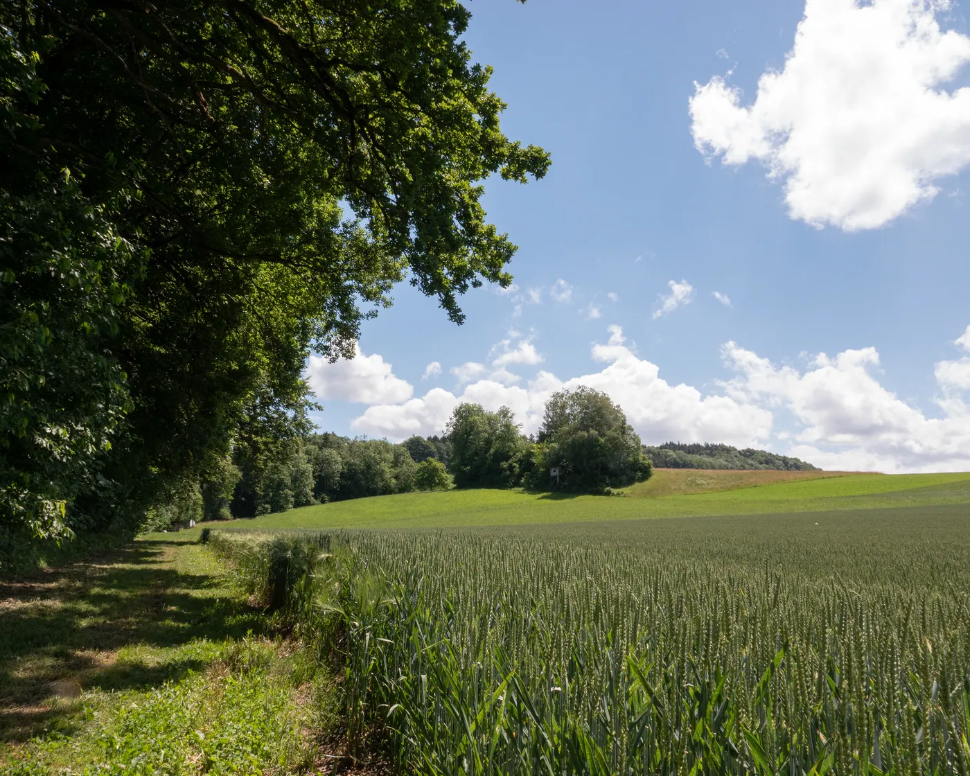 Tüfelschilen-Schauenberg-Weg