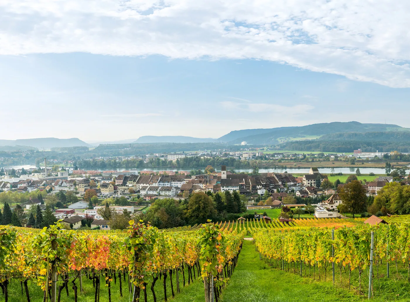 Klingnau