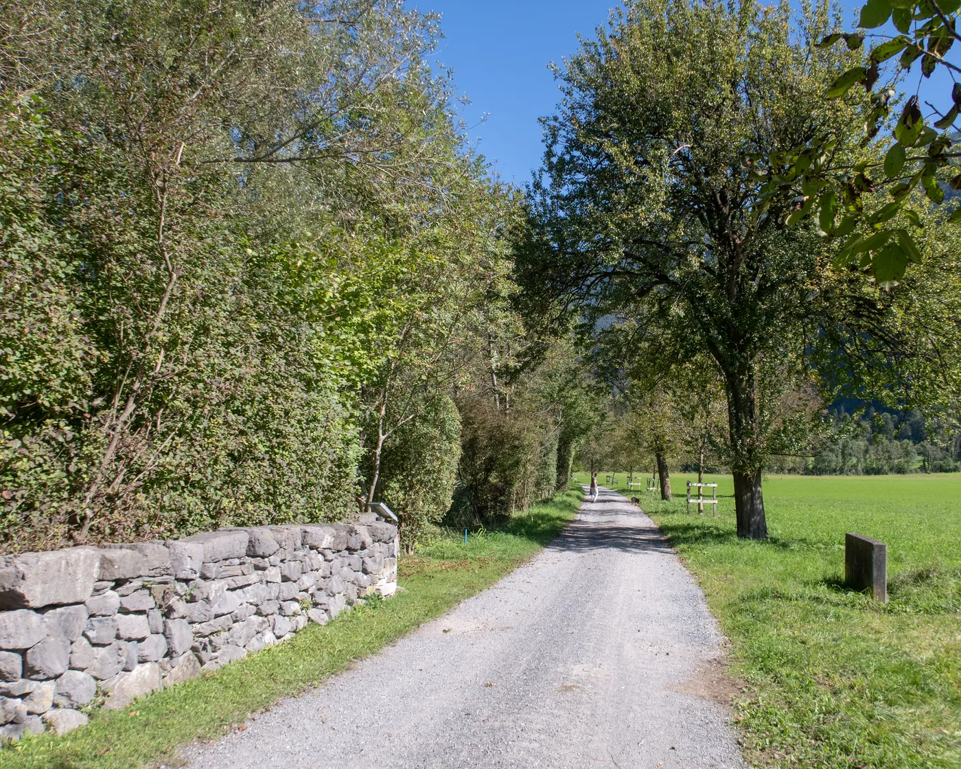 Vaduz-Balzers-Weg