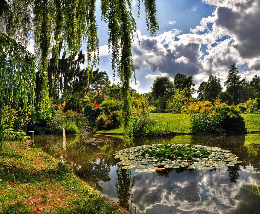 Ogród Botaniczny Genewy