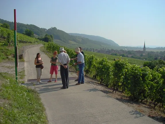 Ścieżka winna VITI-TOUR (Cressier)