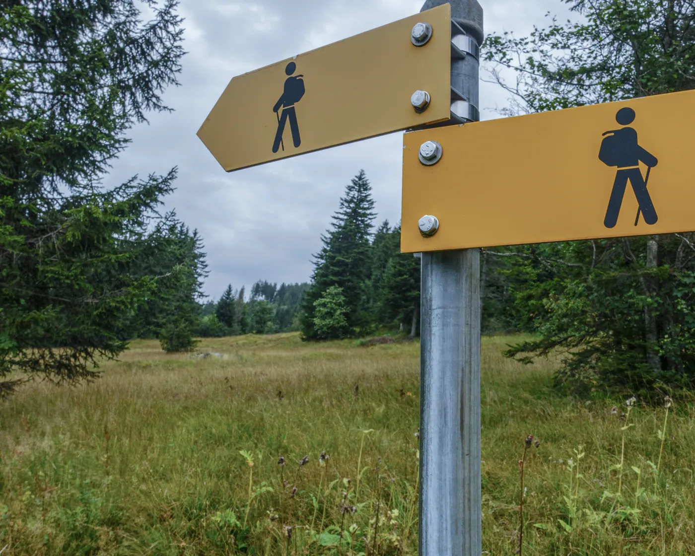 Schwyzer Höhenweg, etap 4