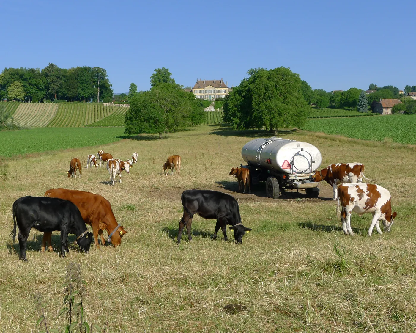 Gros de Vaud–La Côte