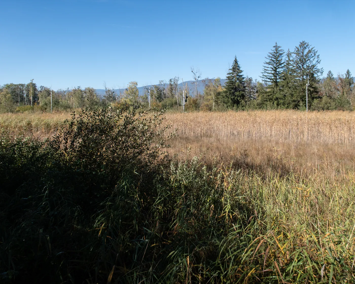 Chemin des grèves (jezioro Neuchâtel)