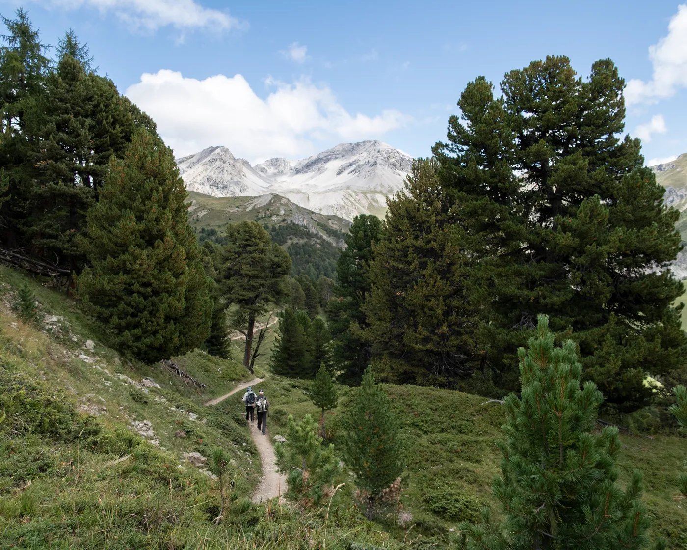 Senda Val Müstair