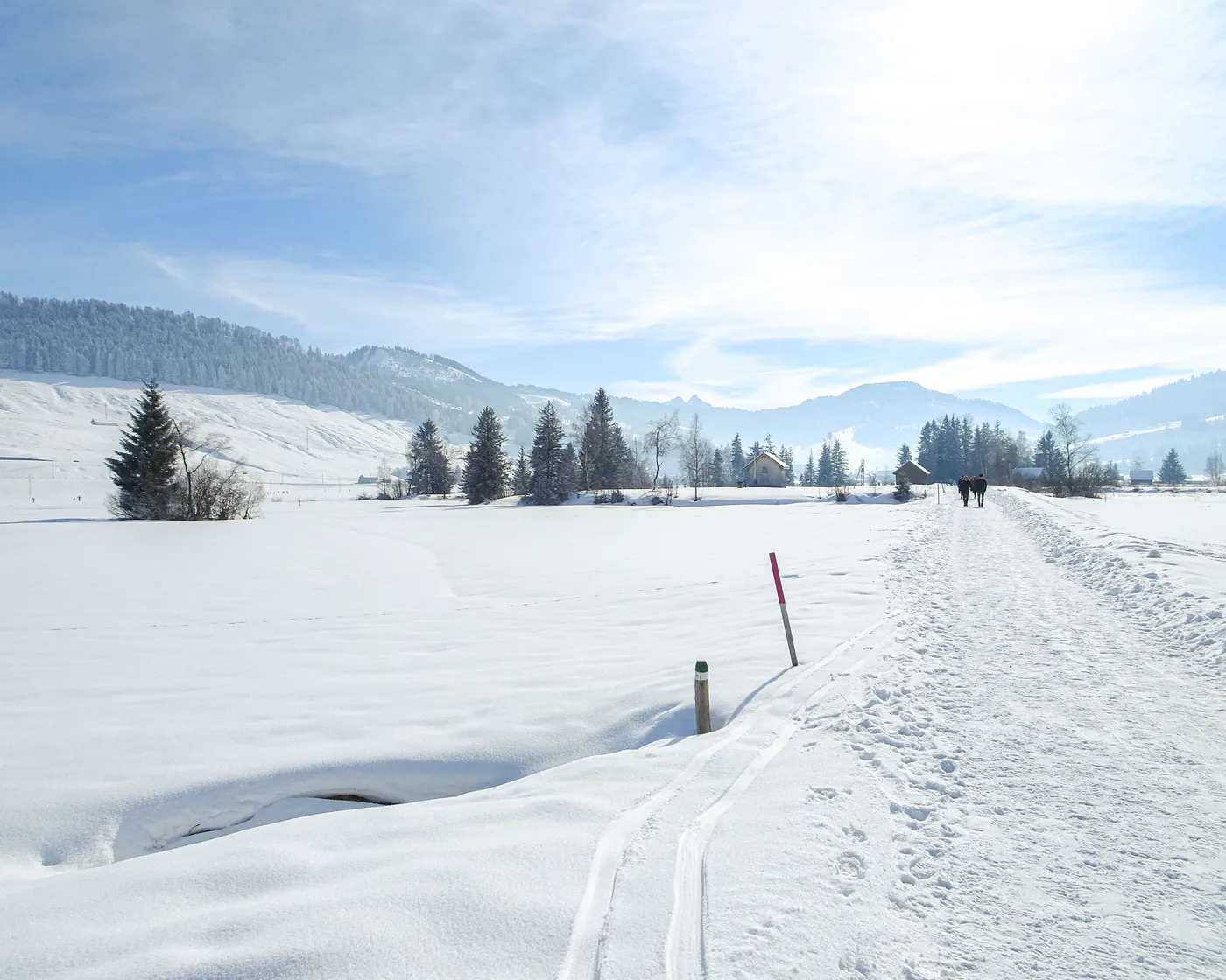 Rothenthurm-Winterwanderweg