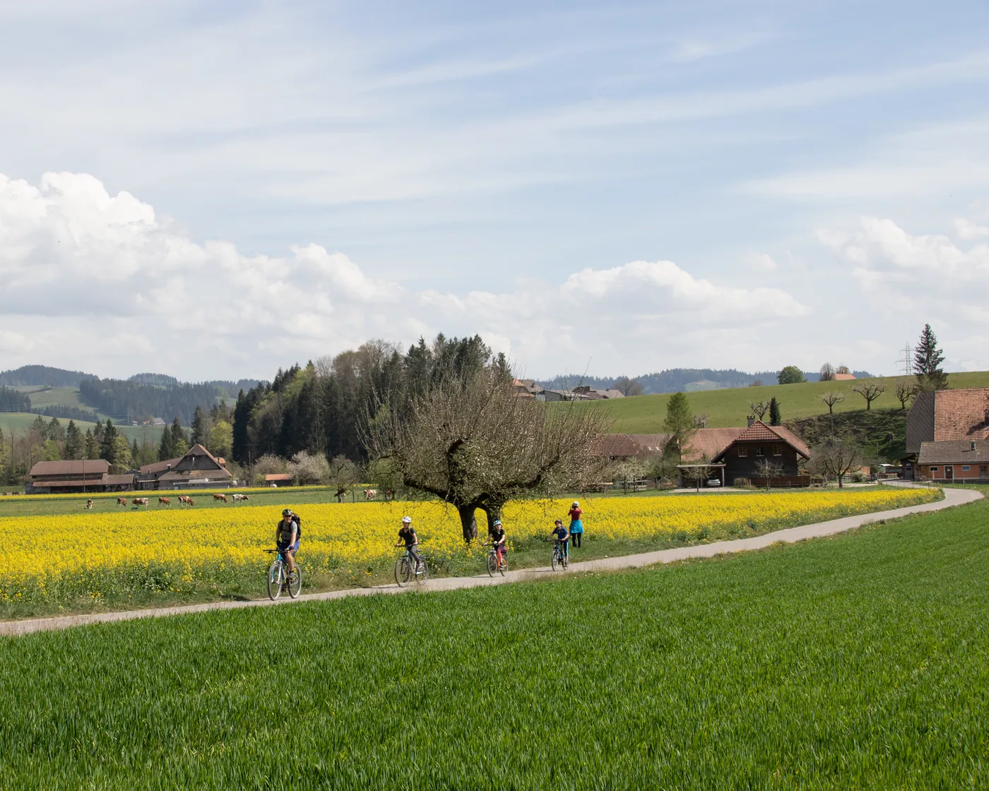 Emmental–Entlebuch (Langnau)