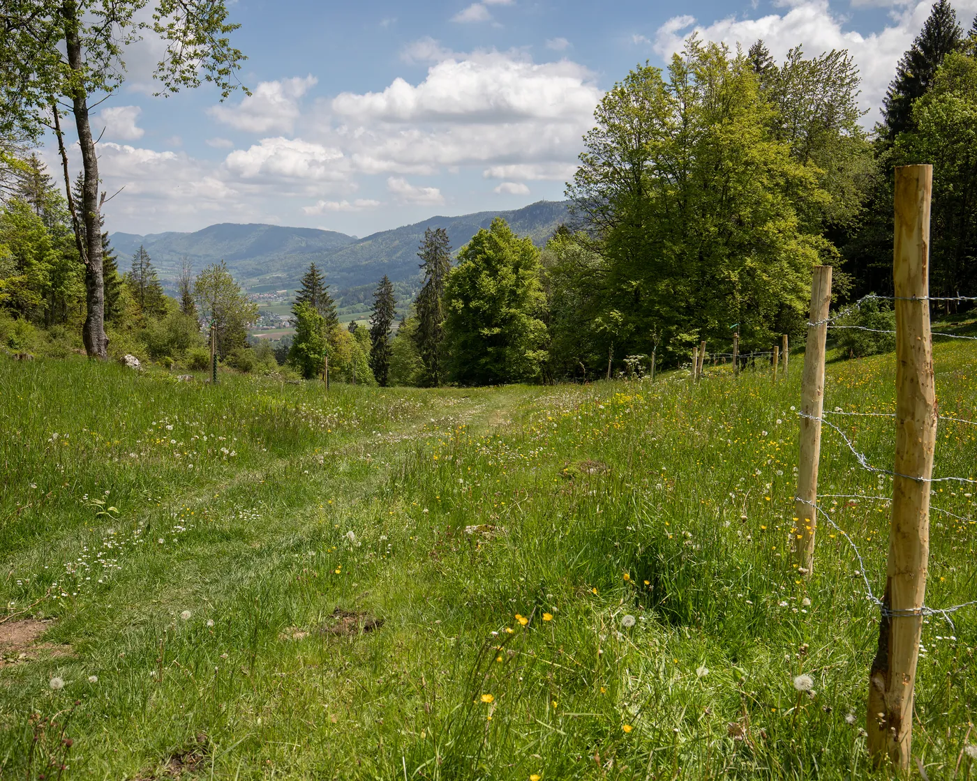 Chemin de Moron