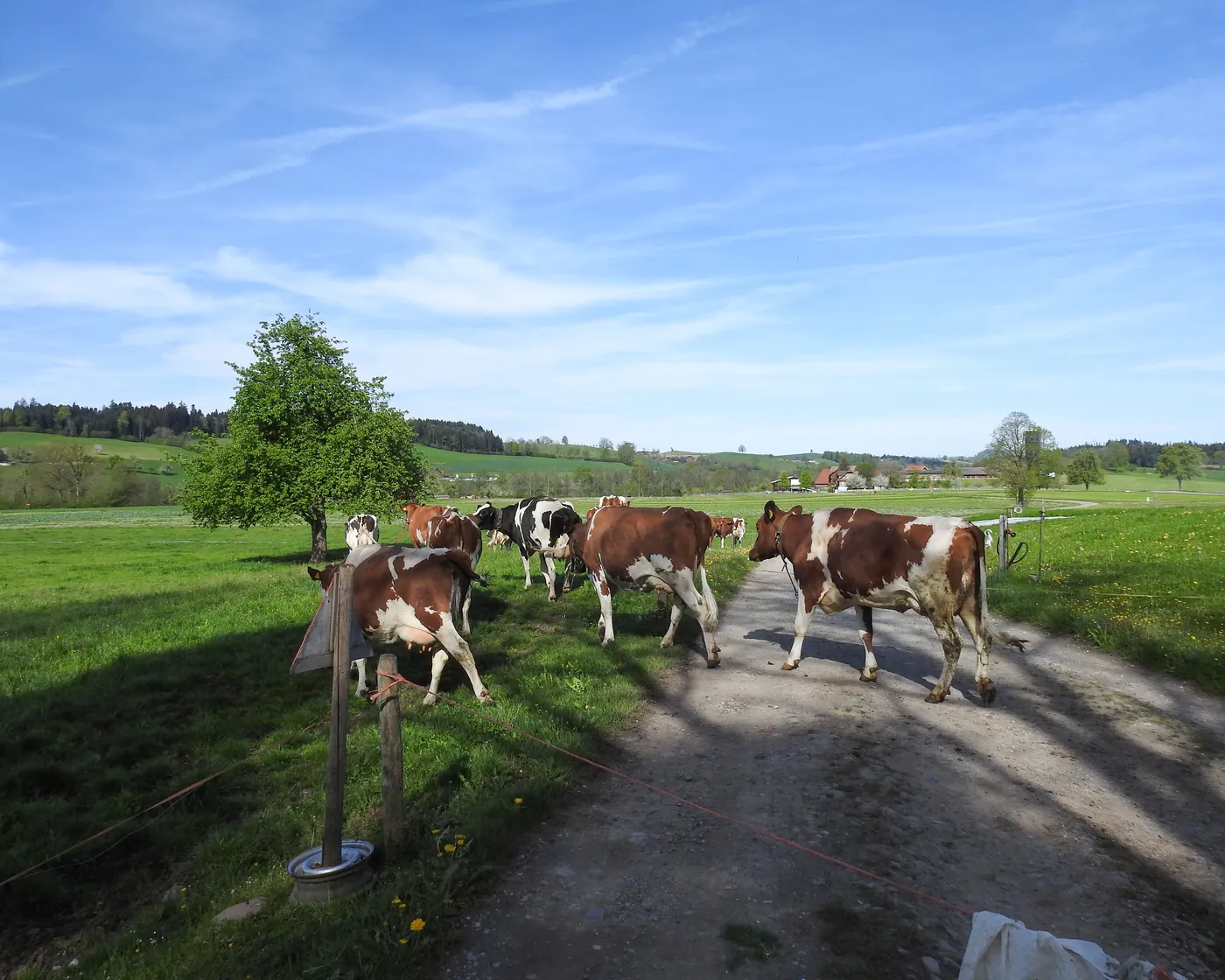 Luzerner Hinterland–Rigi (Ruswil–Luzern)