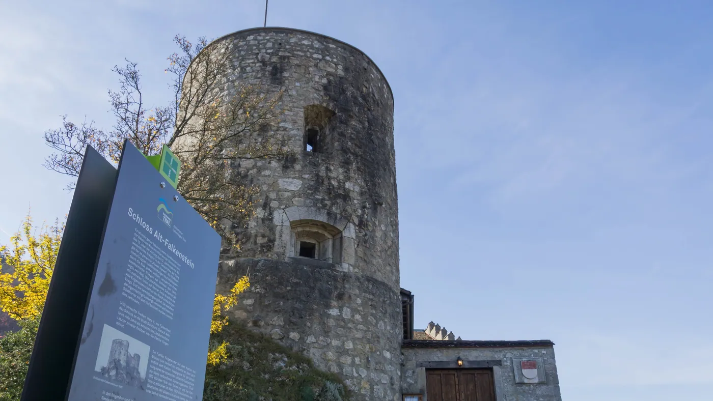 Zamek Alt-Falkenstein