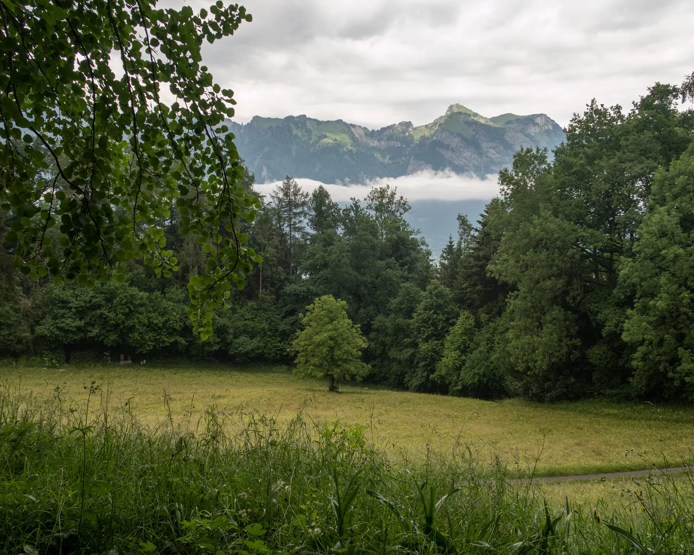 Eschnerberg-Höhenweg