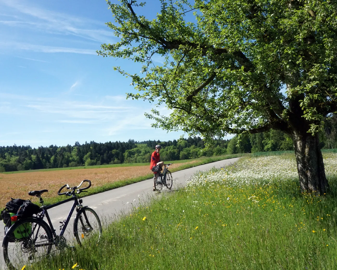 Emmental–Entlebuch