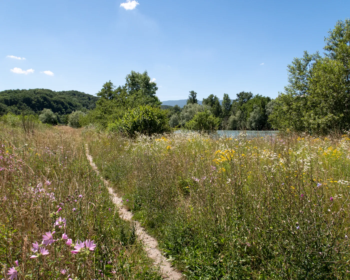 Far West du canton de Genève