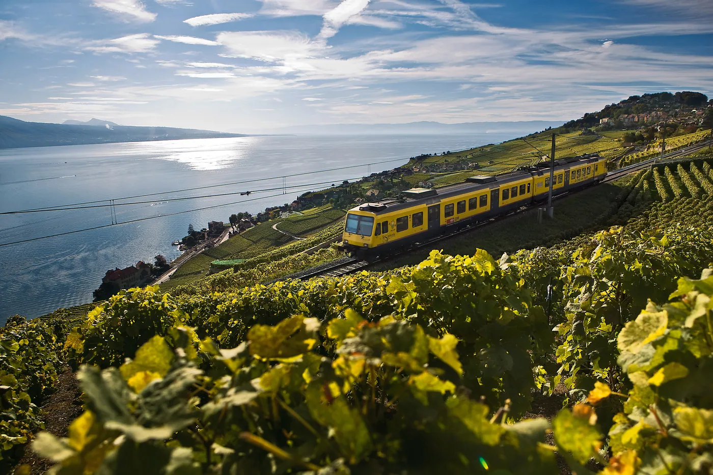 Train des vignes (Lavaux)
