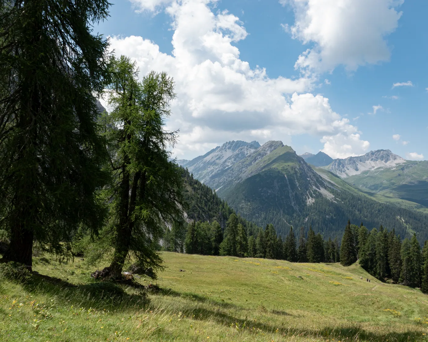 Schiesshorn-Weg