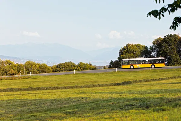 Sihlwald – park dzikich zwierząt